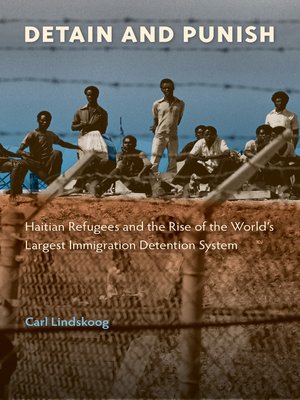 cover image of Detain and Punish
